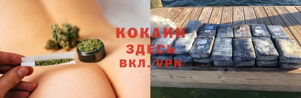 соль ск Алзамай