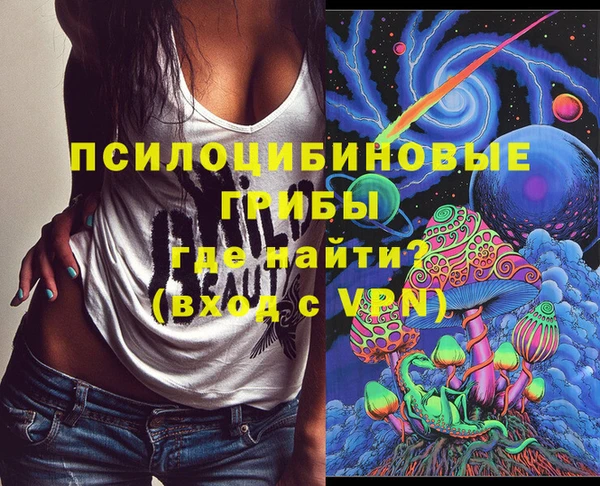 соль ск Алзамай