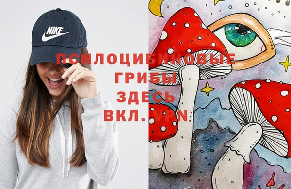 PSILOCYBIN Алексеевка