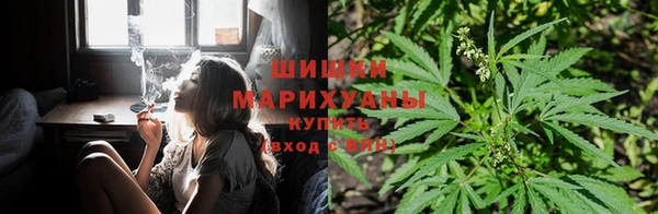 соль ск Алзамай