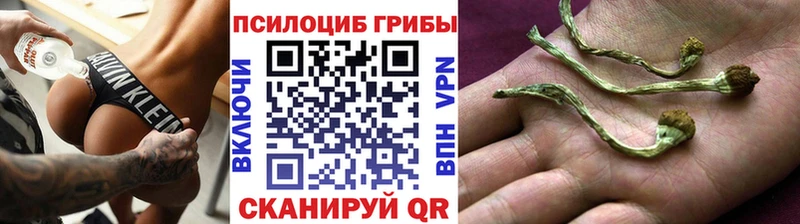 Псилоцибиновые грибы Psilocybine cubensis  Куса 