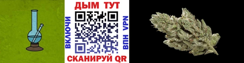 Шишки марихуана гибрид  где продают   Куса 
